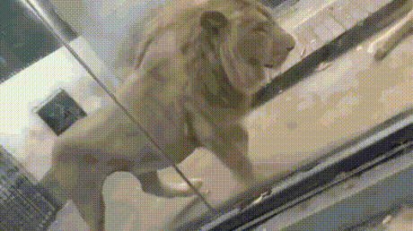 e78a5-6a415905d3bb03.73243803.gif