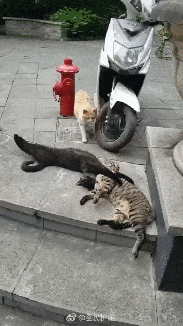 e78a5-6a43db95a2ca64.38807562.gif