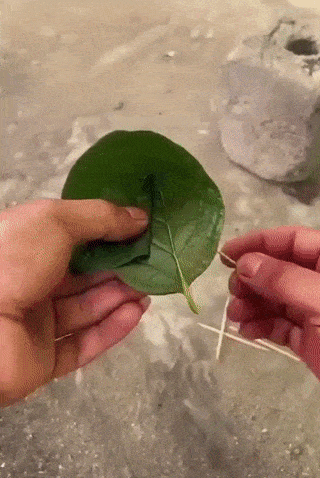 e78a5-6a43e05f6cc4a2.22379827.gif