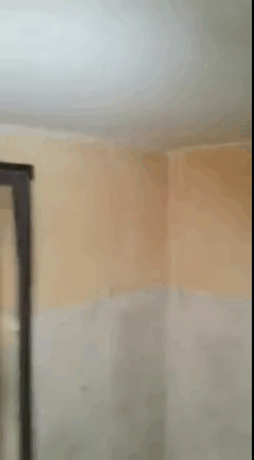 e78a5-6a45c2a389d866.60082190.gif