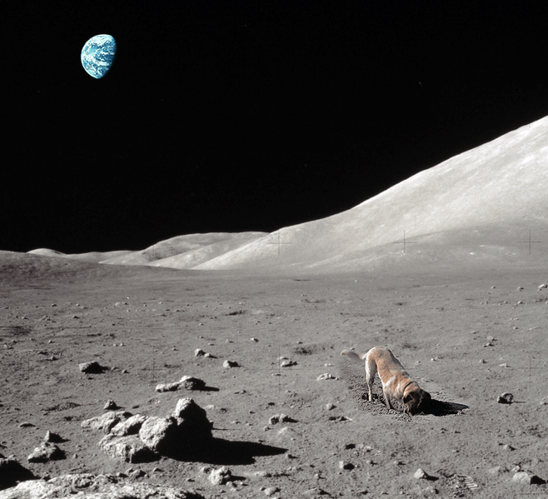 e78a5-6a4e7f021552a0.76783312.gif