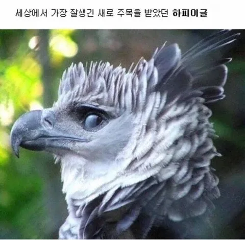 e78a5-6a5084d7087178.40099726.webp