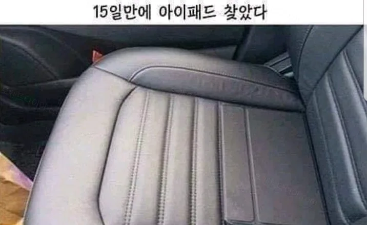 e78a5-6a5086e4d35fc1.41172236.webp