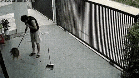 e78a5-6a510d6ec0f960.13150274.gif