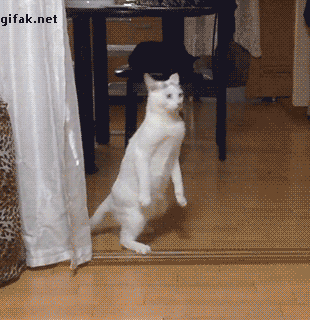 e78a5-6a527c7fd57d58.55183596.gif