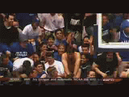 e78a5-6a54ff43727b14.40177651.gif
