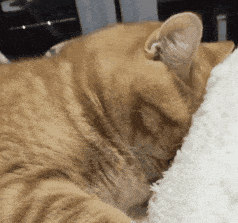 e78a5-6a54ff5b3e8f09.06097758.gif