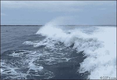 e78a5-6a550281480288.85008554.gif
