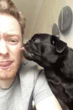 e78a5-6a5652aa19a784.37409049.gif