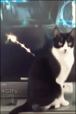 e78a5-6a57a33f88b0c7.04496692.gif