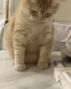 e78a5-6a57a573743f16.50502992.gif