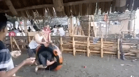 e78a5-6a57a77c116c55.75892745.gif