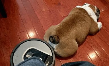 e78a5-6a58fc3ab52c83.67778985.gif