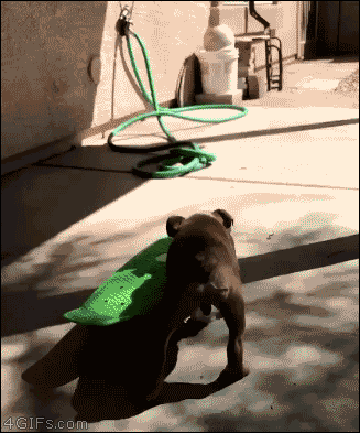 e78a5-6a58fdb96d08c8.46436447.gif