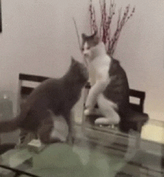 e78a5-6a5aee79aa22e8.70240726.gif