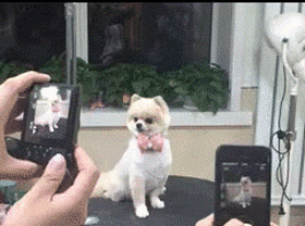 e78a5-6a5b969d6dcfd6.12173015.gif