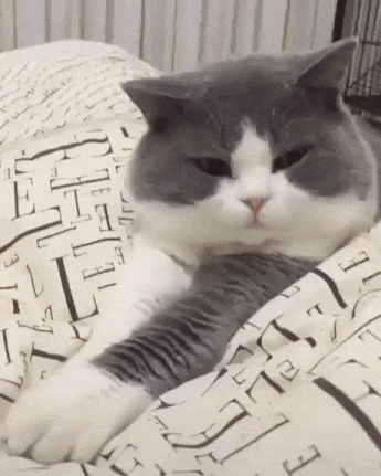 e78a5-6a5b96f31793b9.72489160.gif