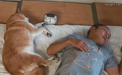 e78a5-6a5b98933b06c7.16518517.gif