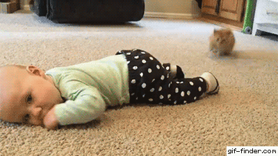 e78a5-6a5cfa225f08f9.54143582.gif
