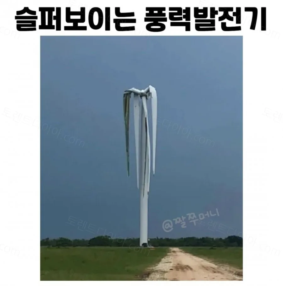 e78a5-6a5f9a00b10e50.17769838.webp
