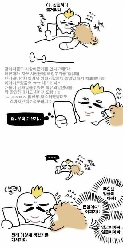e78a5-6a5f9db44d7519.74241986.webp