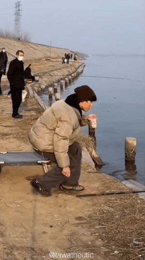 e78a5-6a62306bdd8938.10177923.gif