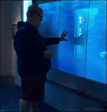 e78a5-6a6382f99b4250.90042019.gif