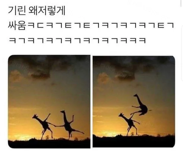 e78a5-6a6c9469bf2ba8.42855806.webp