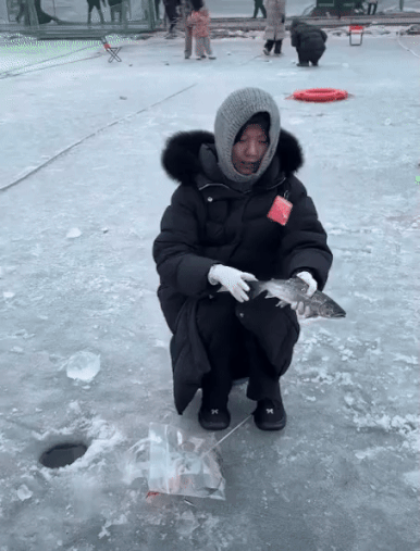 e78a5-6a6f5e27387dc4.13126644.gif
