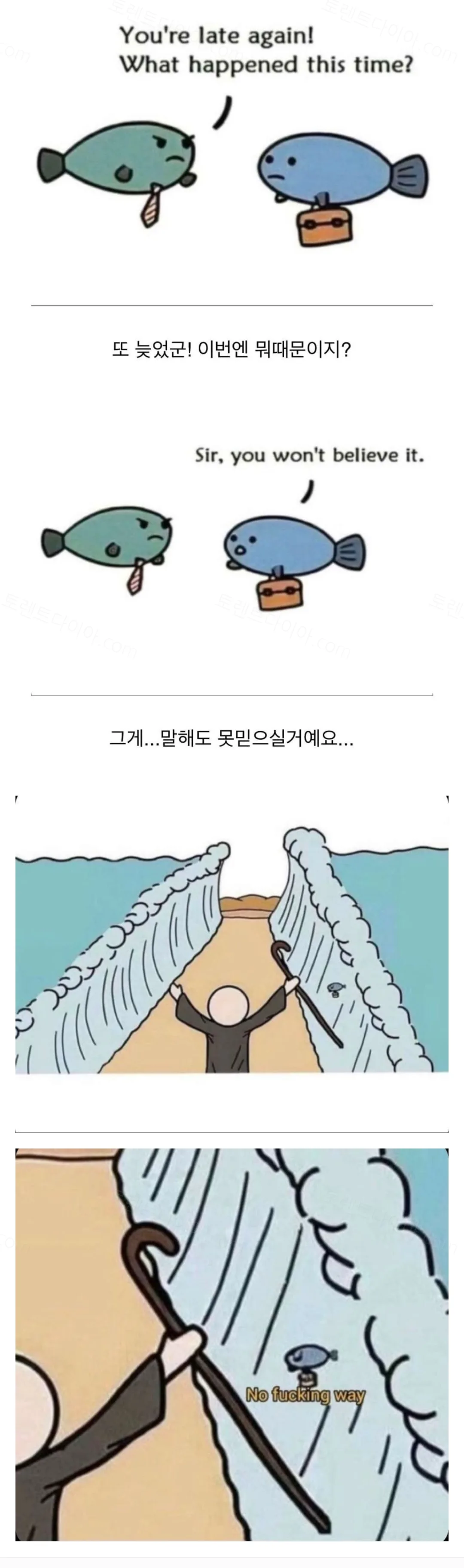 e78a5-6a70b3dd1072e4.63718674.webp