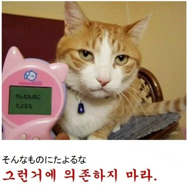 e78a5-6a71984b29b711.33508739.webp
