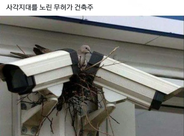 e78a5-6a719a42809e00.70799537.webp