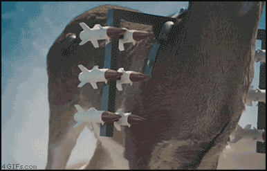 e78a5-6a744c82dfa8d1.71373247.gif