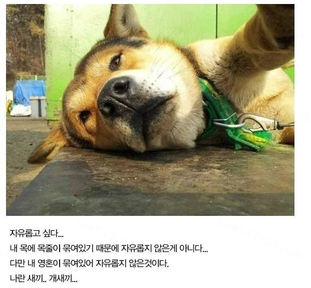 e78a5-6a744e72e164c0.62356327.webp