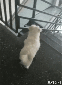 e78a5-6a7c90ce786b54.76569647.gif