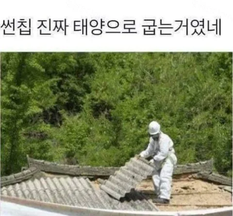 e78a5-6a7d19379252d7.98111774.webp