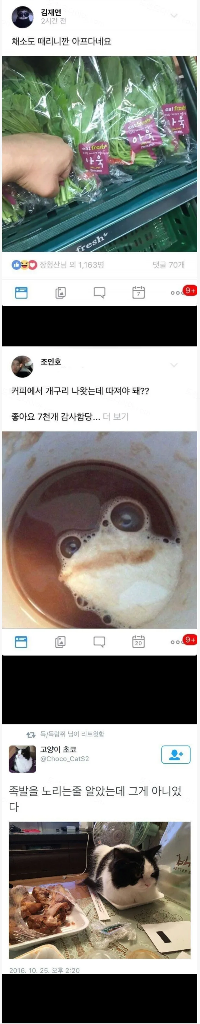 e78a5-6a82ae6867a107.55361349.webp
