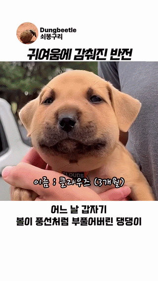 uploaded_6a1caffd973af0.40651659.gif