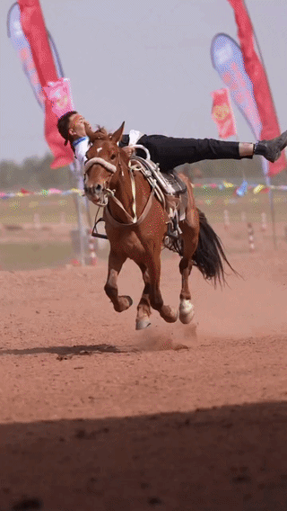 uploaded_6a1df09a066718.78056803.gif