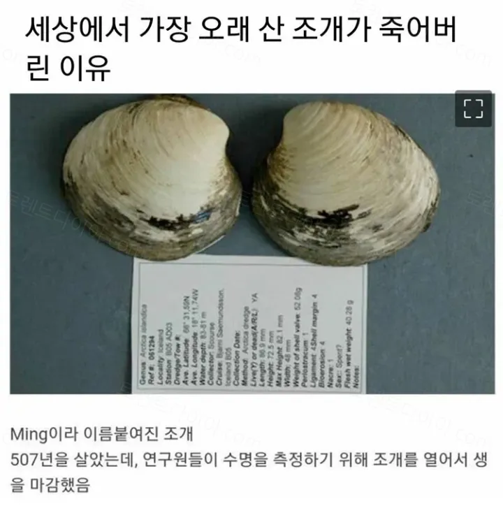uploaded_6a1df0dd9ec292.00829267.webp
