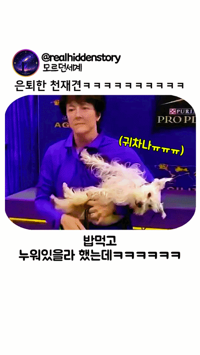 uploaded_6a29d997e55f25.52499114.gif