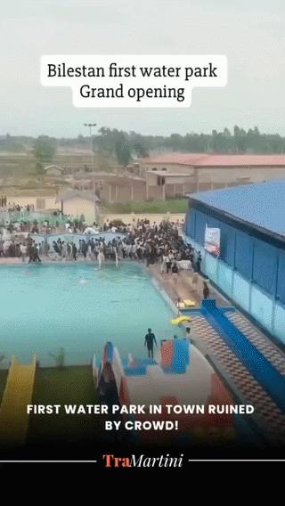 uploaded_6a2c7cd8420ad8.67594118.gif