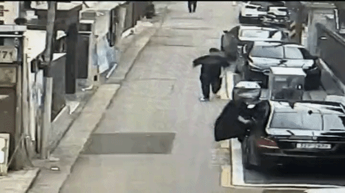 uploaded_6a31c4976a38e3.94837248.gif