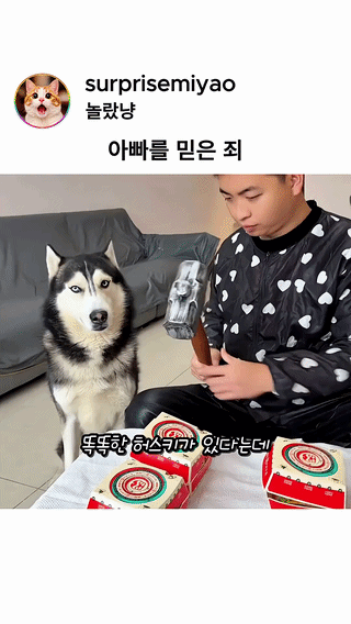 uploaded_6a31c684970cd0.70422335.gif