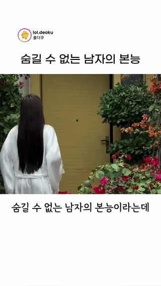 uploaded_6a346199454eb8.85667615.gif