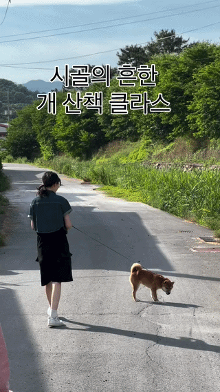 uploaded_6a370506194108.98179555.gif