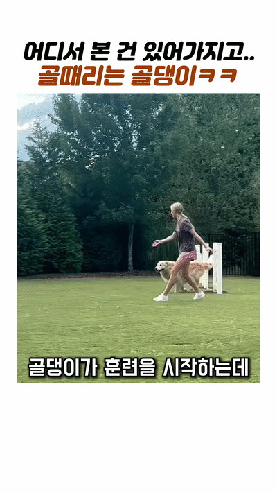 uploaded_6a385ce8a8a224.34010974.gif
