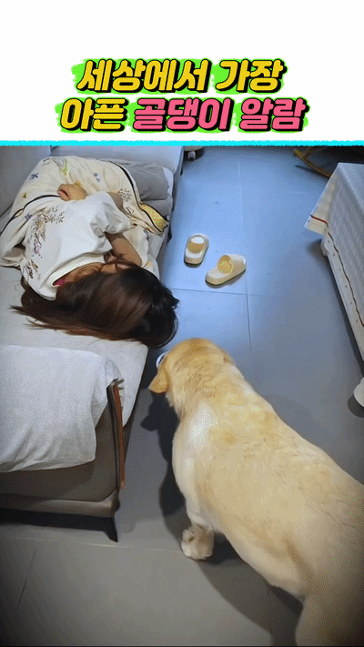 uploaded_6a3c4a641bd328.54593710.gif