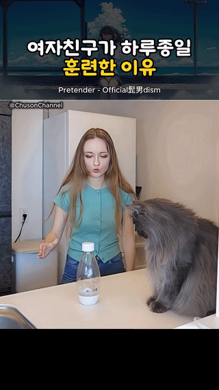 uploaded_6a3d9ab664ea68.84281252.gif