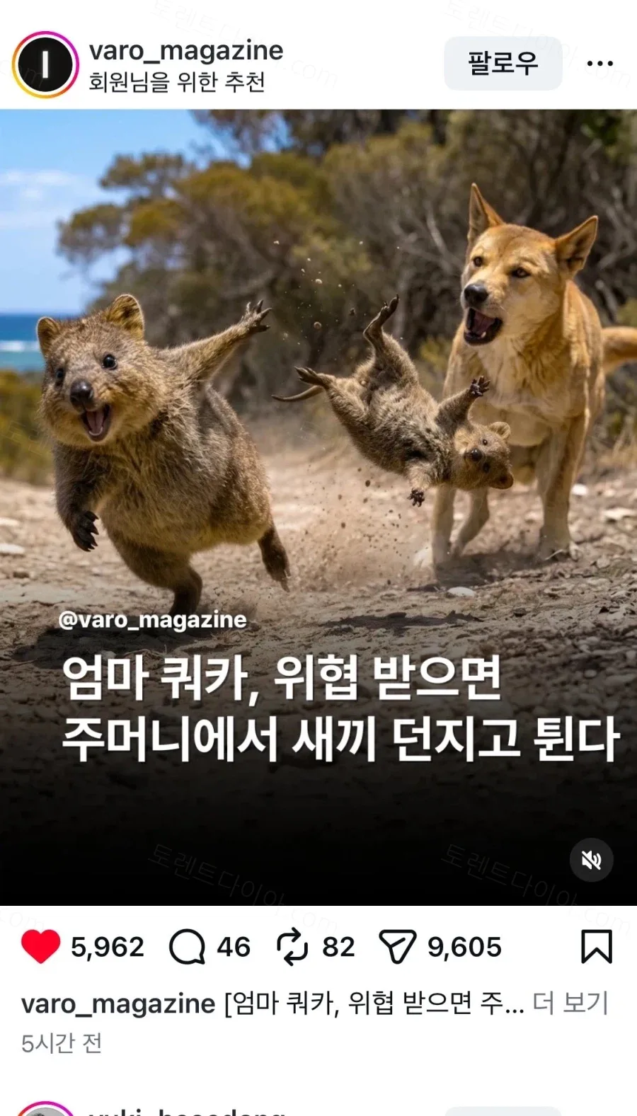uploaded_6a418e8237bc14.49944420.webp